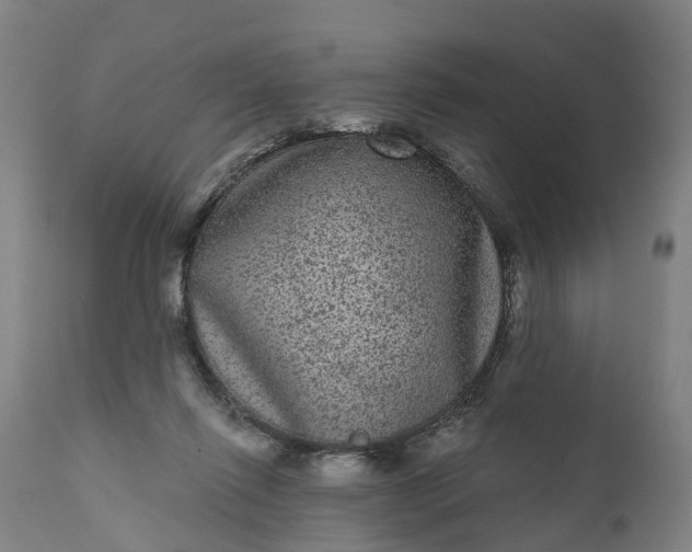 X0000111640262200907311259