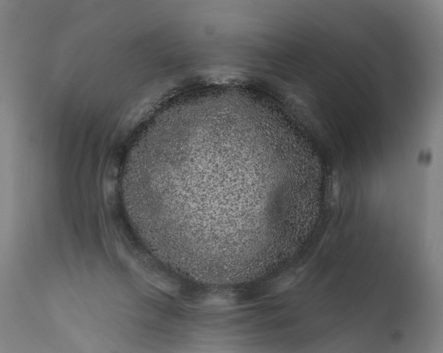 X0000111640263200907311259