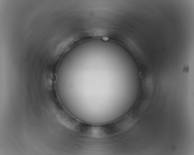 X0000111640264200907311259