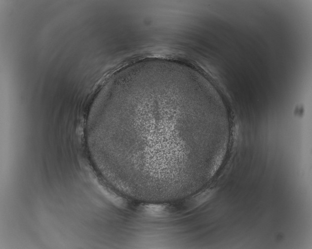 X0000111640265200907311259