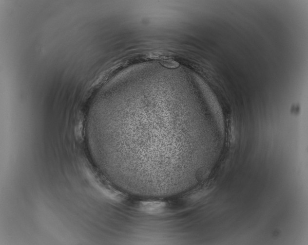 X0000111640266200907311259