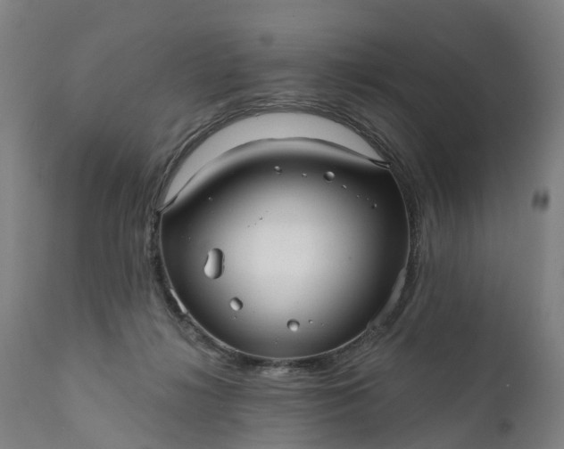 X0000111640268200907311259