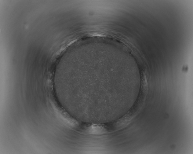 X0000111640270200907311259