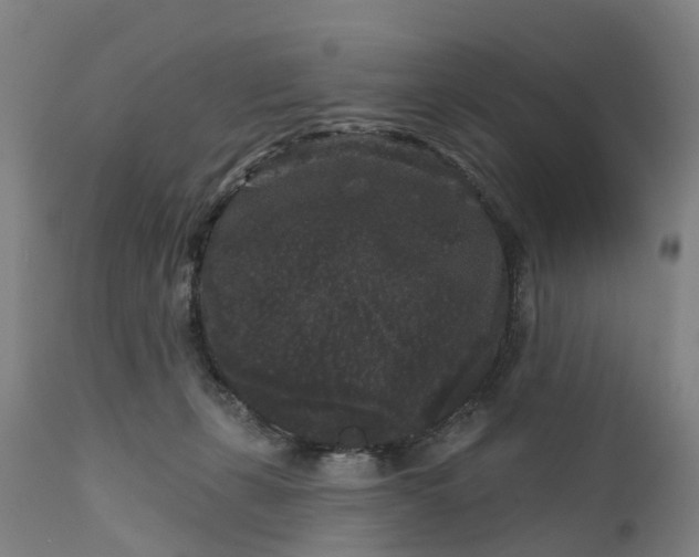 X0000111640271200907311259