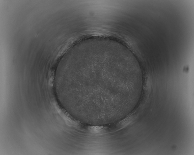 X0000111640273200907311300