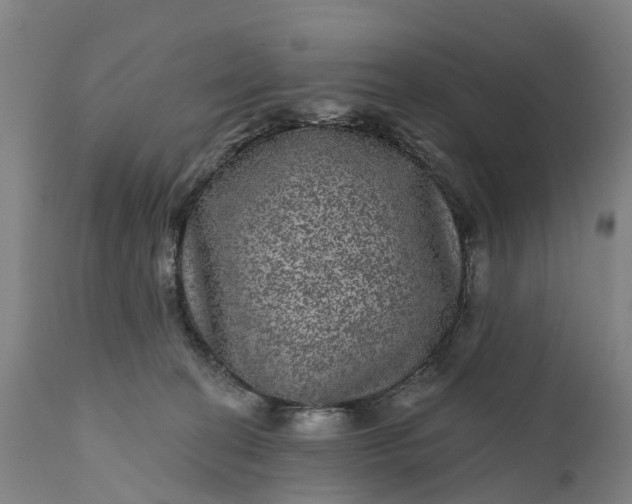 X0000111640274200907311300