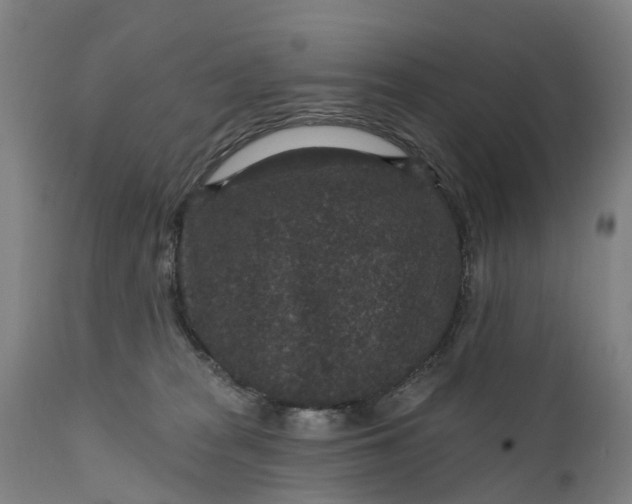 X0000111640277200907311300