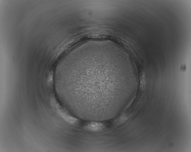 X0000111640278200907311300