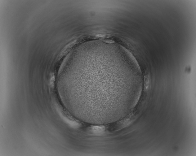 X0000111640279200907311300