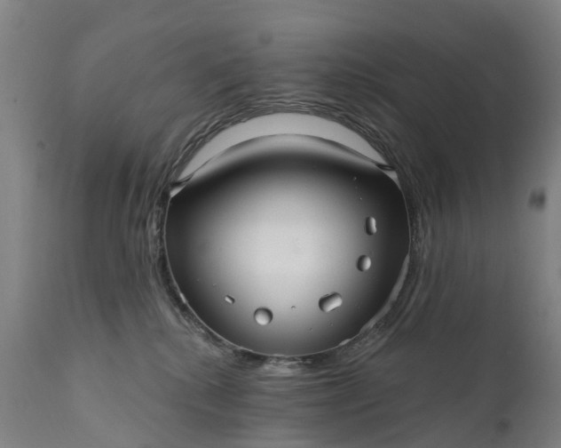 X0000111640280200907311300