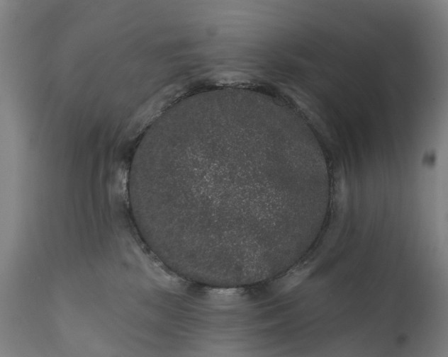 X0000111640281200907311300