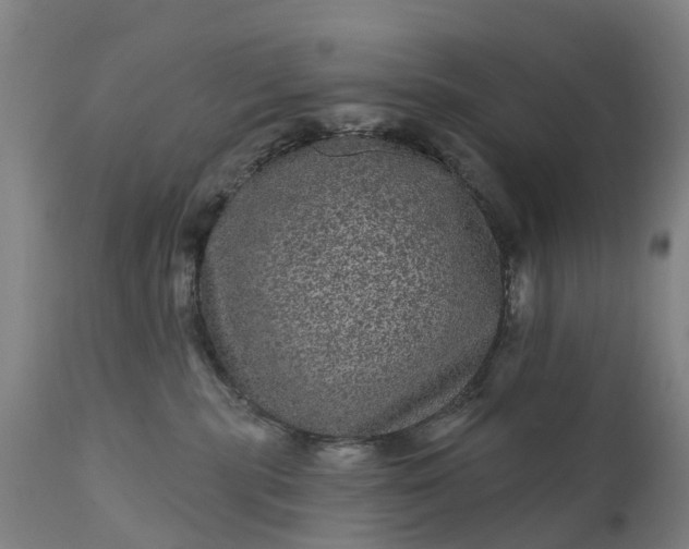 X0000111640283200907311300