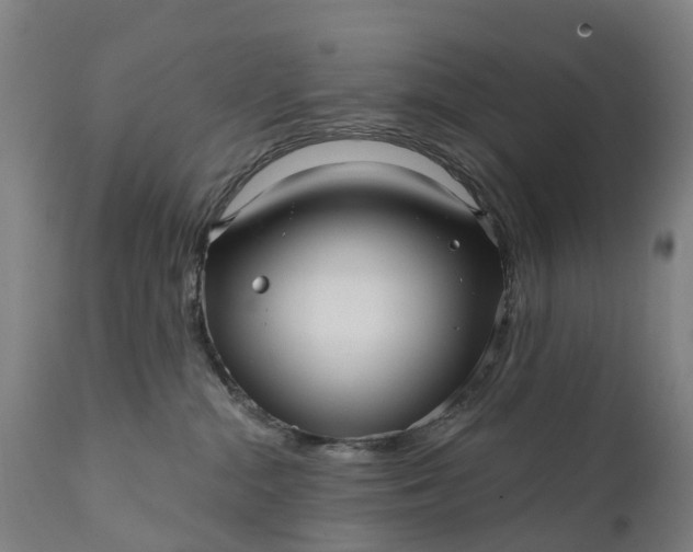 X0000111640284200907311300