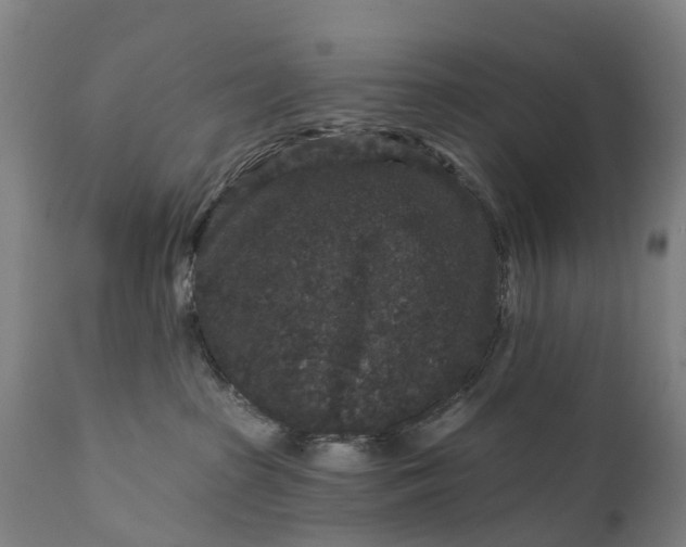 X0000111640285200907311300