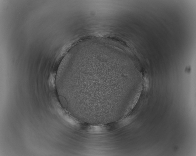 X0000111640286200907311300