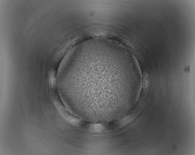 X0000111640287200907311300