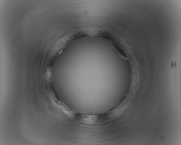 X0000111640288200907311300