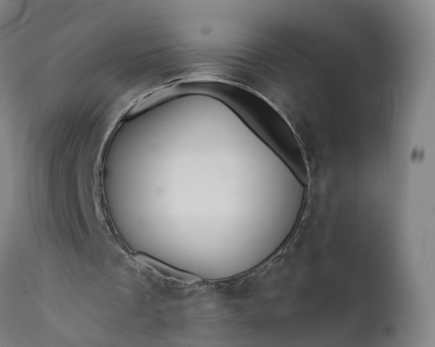 X0000111640289200907311259