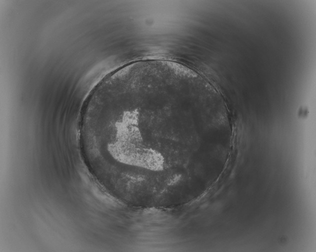 X0000111640290200907311259