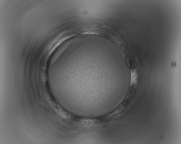 X0000111640291200907311259