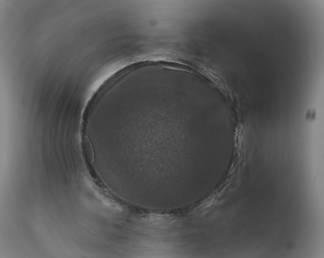 X0000111640292200907311259