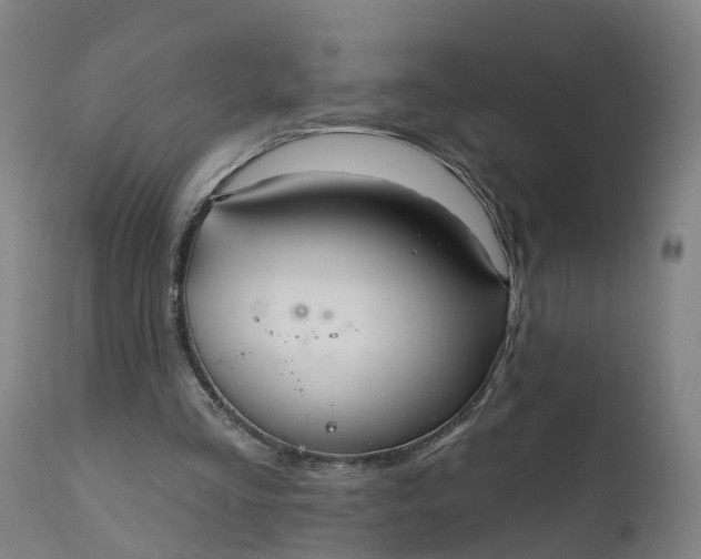 X0000111640293200907311259