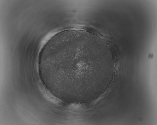 X0000111640294200907311259