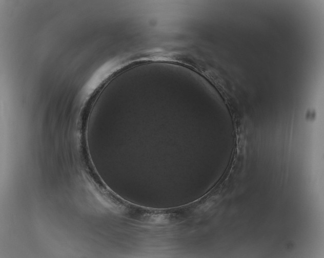 X0000111640295200907311259