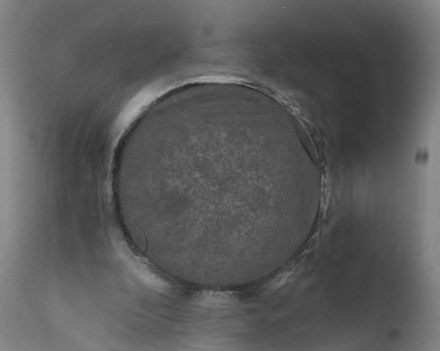 X0000111640296200907311259