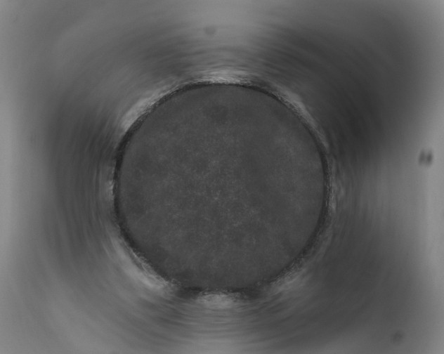 X0000111640299200907311259