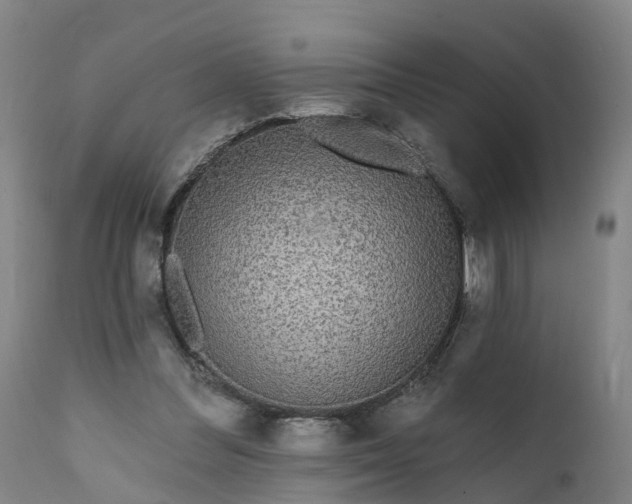 X0000111640300200907311259