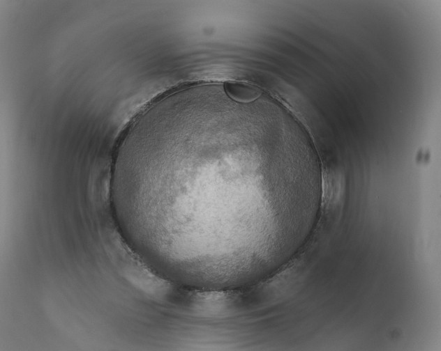 X0000111640301200907311259