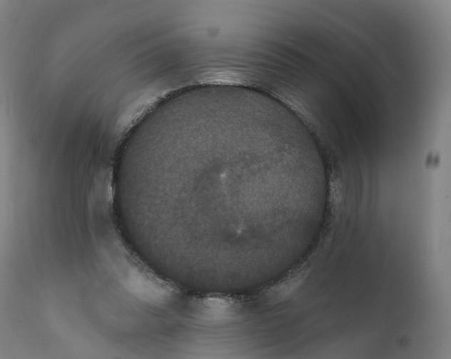 X0000111640302200907311259