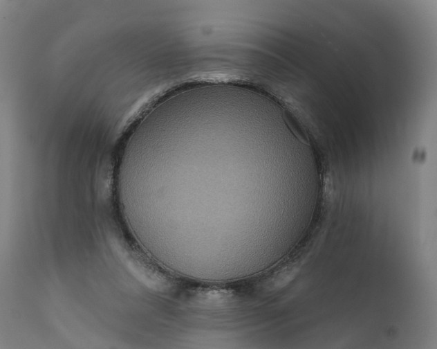 X0000111640304200907311259