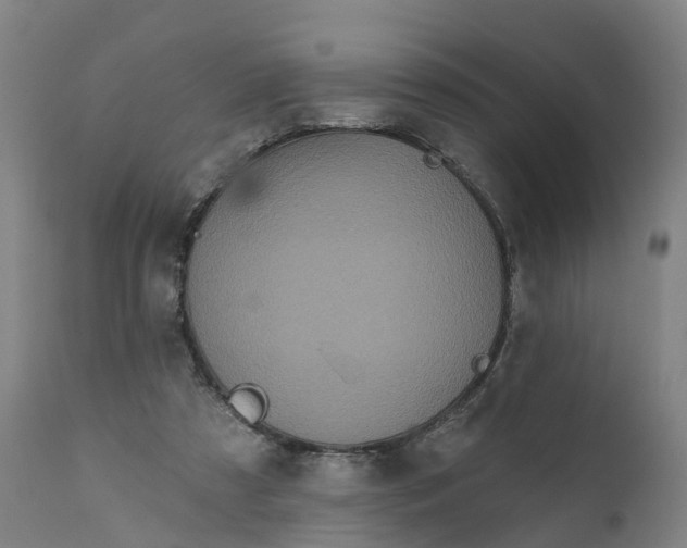 X0000111640305200907311258