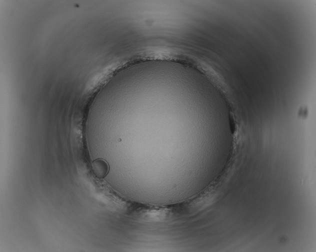 X0000111640306200907311258