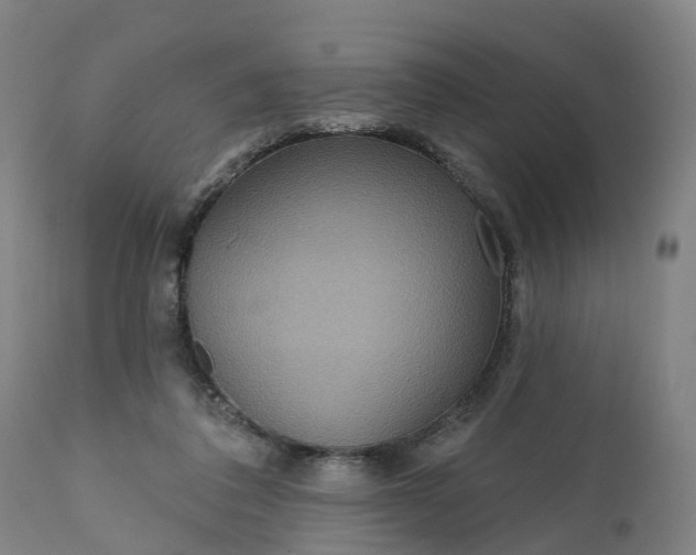 X0000111640308200907311258