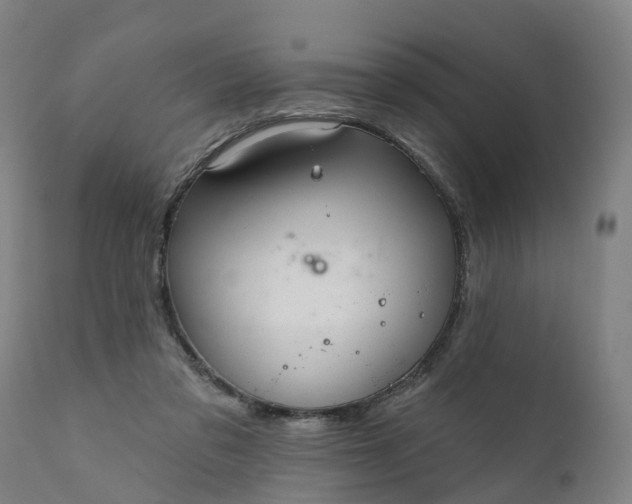 X0000111640309200907311258