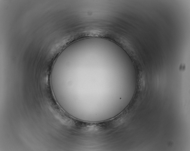 X0000111640310200907311258