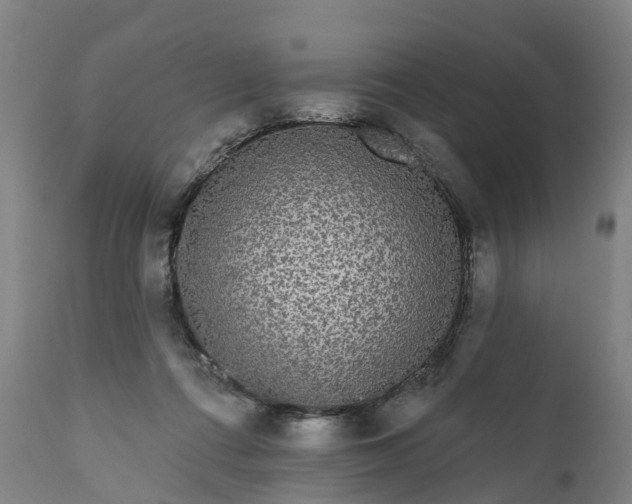 X0000111640312200907311258