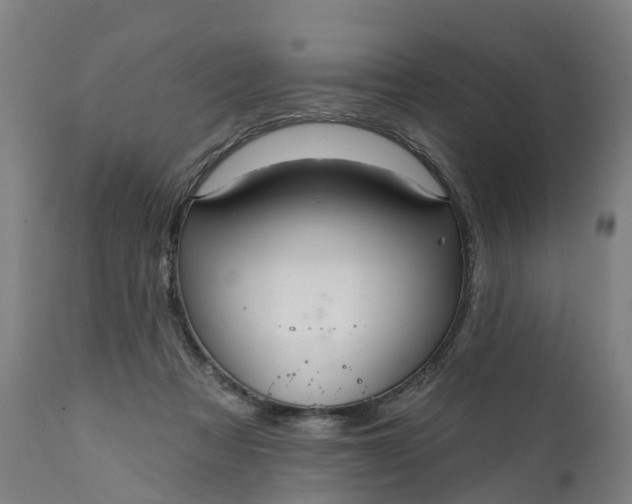 X0000111640313200907311258