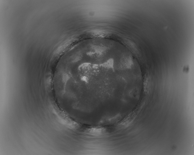 X0000111640314200907311258