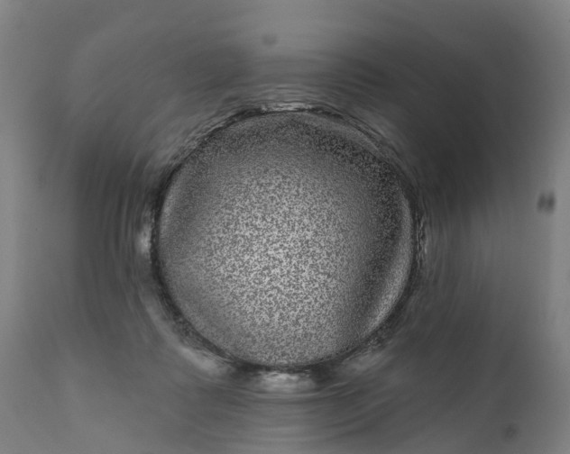 X0000111640315200907311258