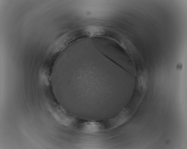 X0000111640316200907311258