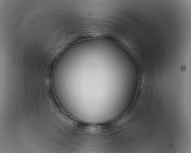 X0000111640317200907311258