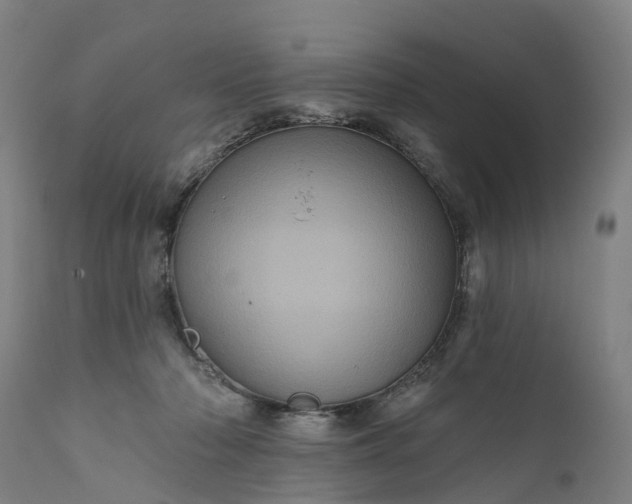 X0000111640318200907311258