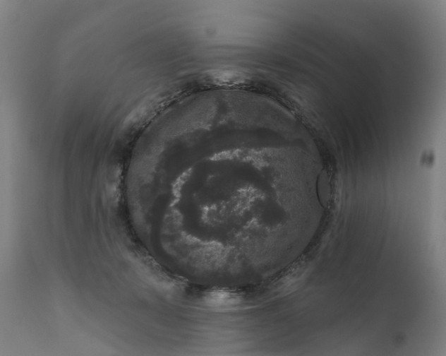 X0000111640319200907311258