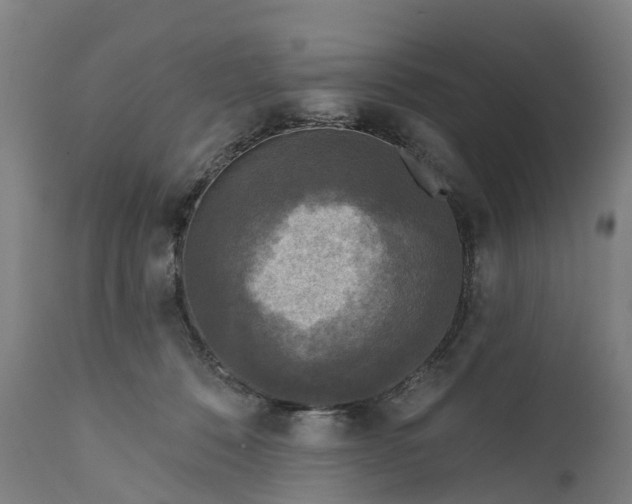 X0000111640320200907311258