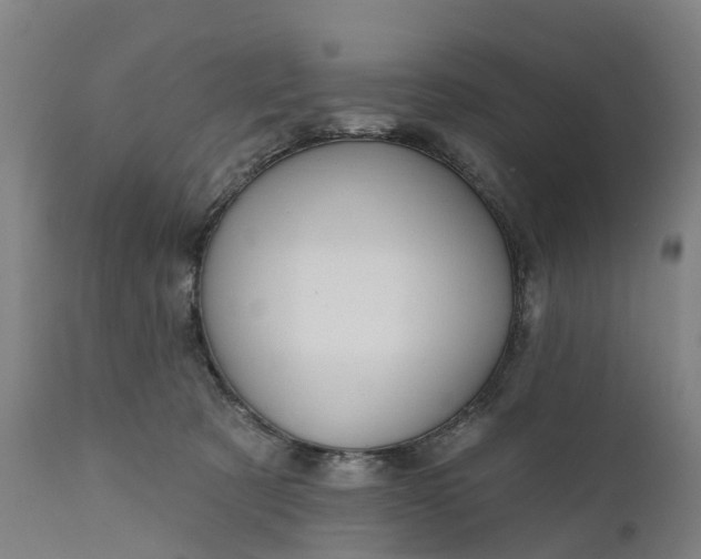 X0000111640321200907311258