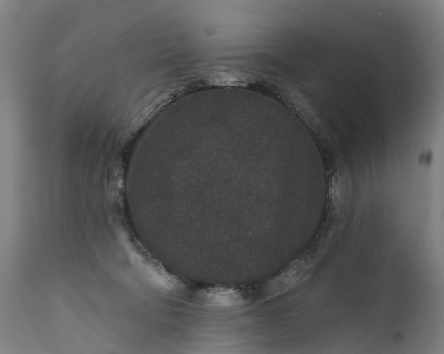 X0000111640322200907311258